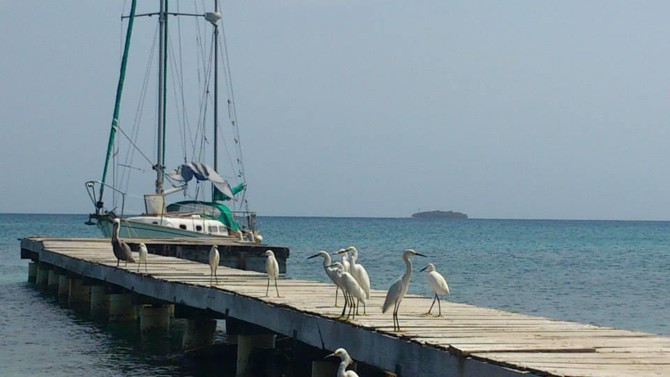 Ecohotel Arte Y Aventura Isla Grande  Exterior photo